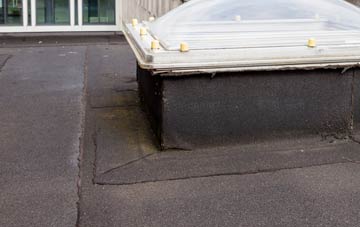 disadvantages of Rhydlewis flat roofs
