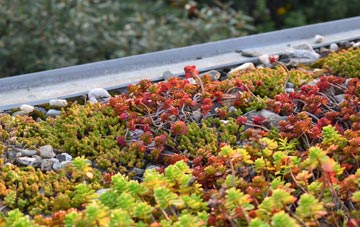 the cost of Rhydlewis green roof installation