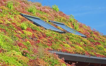Rhydlewis living roof systems
