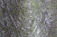 Rhydlewis fibreglass roof work